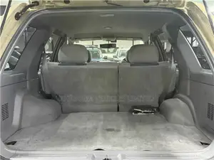 Nissan Terrano 2000 Brown