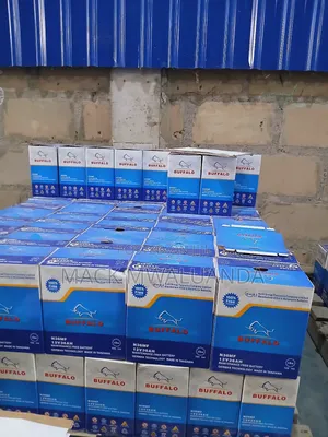 Buffalo Car Solar Batteries but Brand Like Elephant,