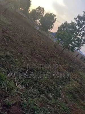Viwanja Vinauzwa Vwawa