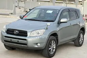 Toyota RAV4 2006 Gray