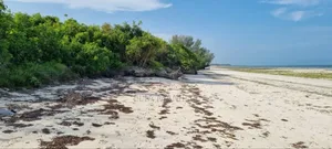 White Sand Beach Front Land for Sale in Zanzibar, Jambiani