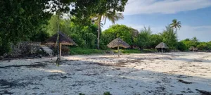White Sand Beach Front Land for Sale in Zanzibar, Jambiani