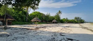 White Sand Beach Front Land for Sale in Zanzibar, Jambiani