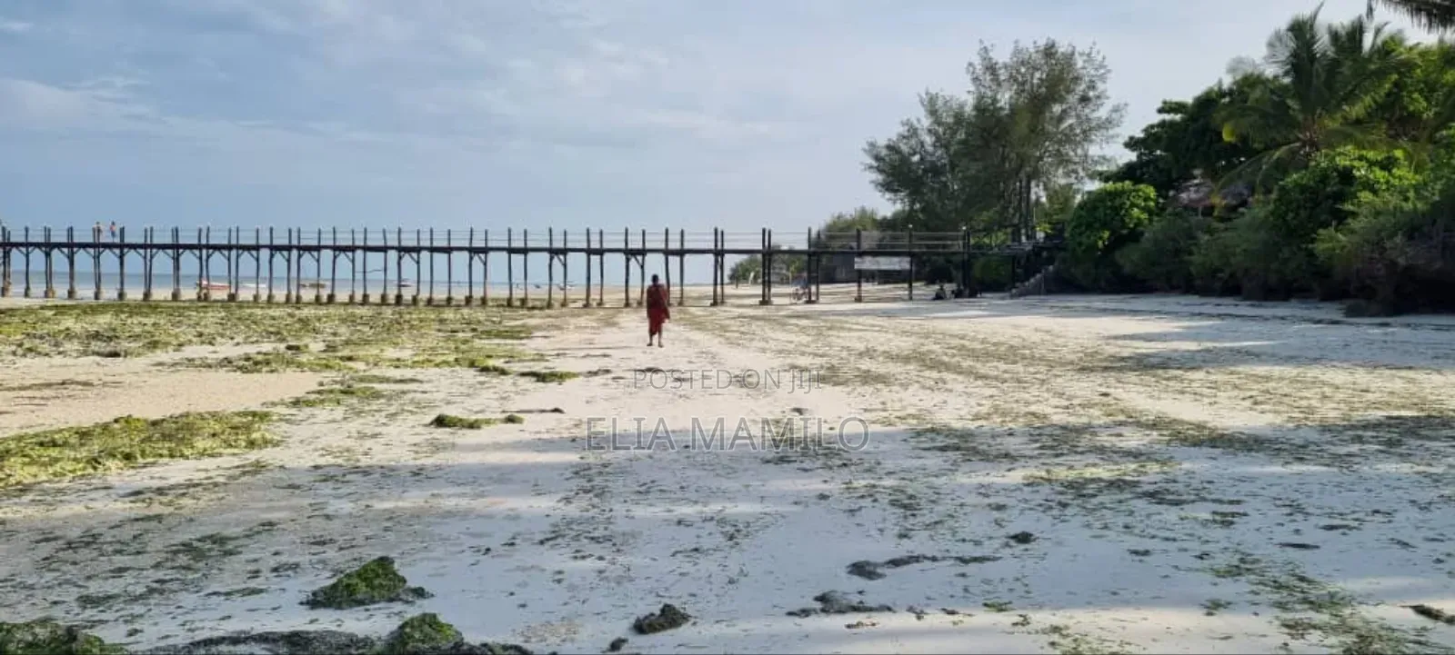 White Sand Beach Front Land for Sale in Zanzibar, Jambiani