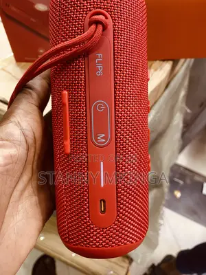 JBL Flip 6