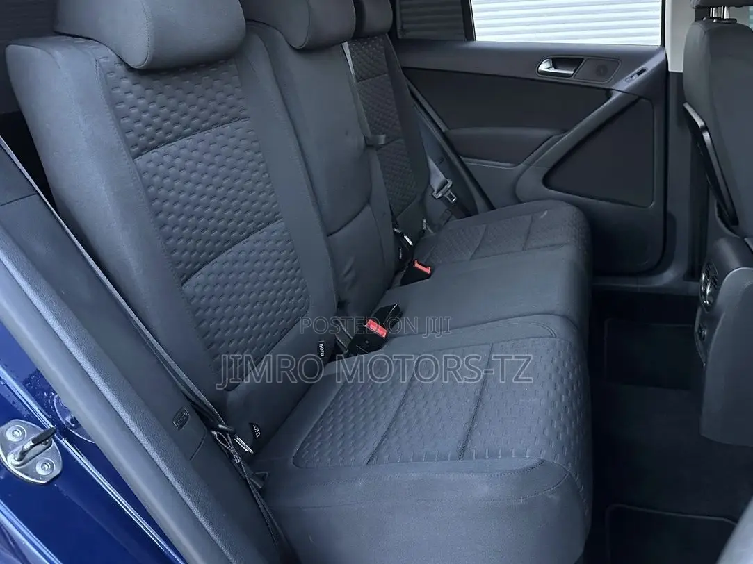 Volkswagen Tiguan 2010 Blue