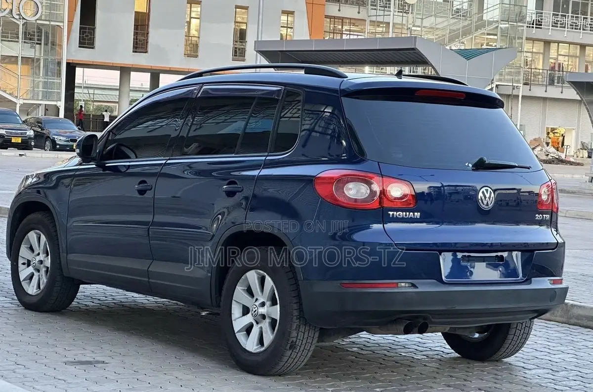 Volkswagen Tiguan 2010 Blue