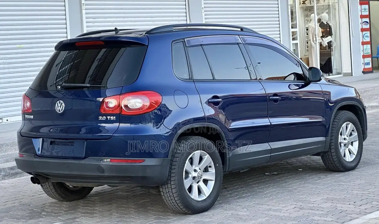 Volkswagen Tiguan 2010 Blue