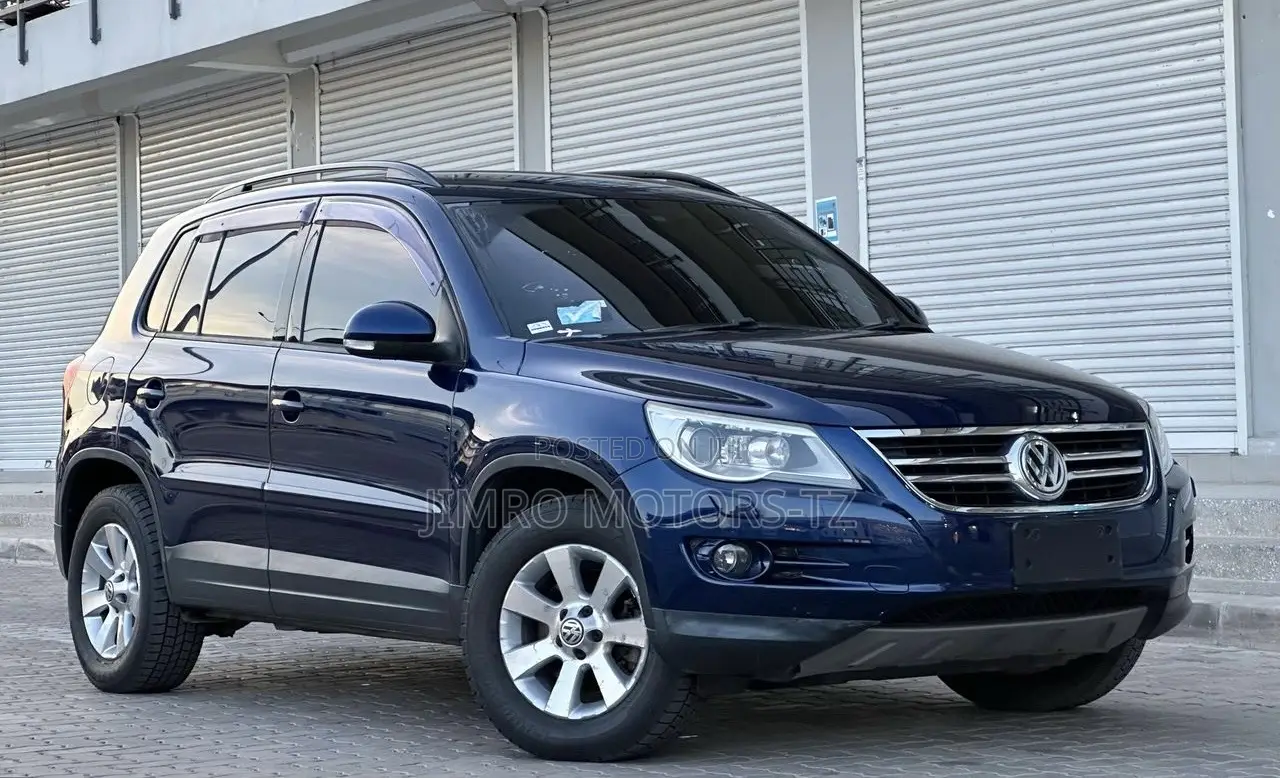 Volkswagen Tiguan 2010 Blue