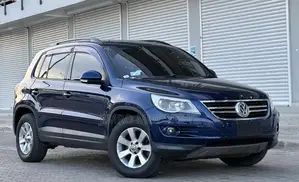 Volkswagen Tiguan 2010 Blue