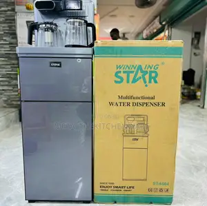 Winning Star Multifunctional Water Dispenser With Fridge