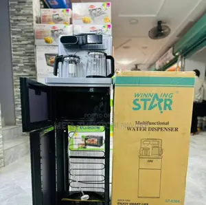 Winning Star Multifunctional Water Dispenser With Fridge