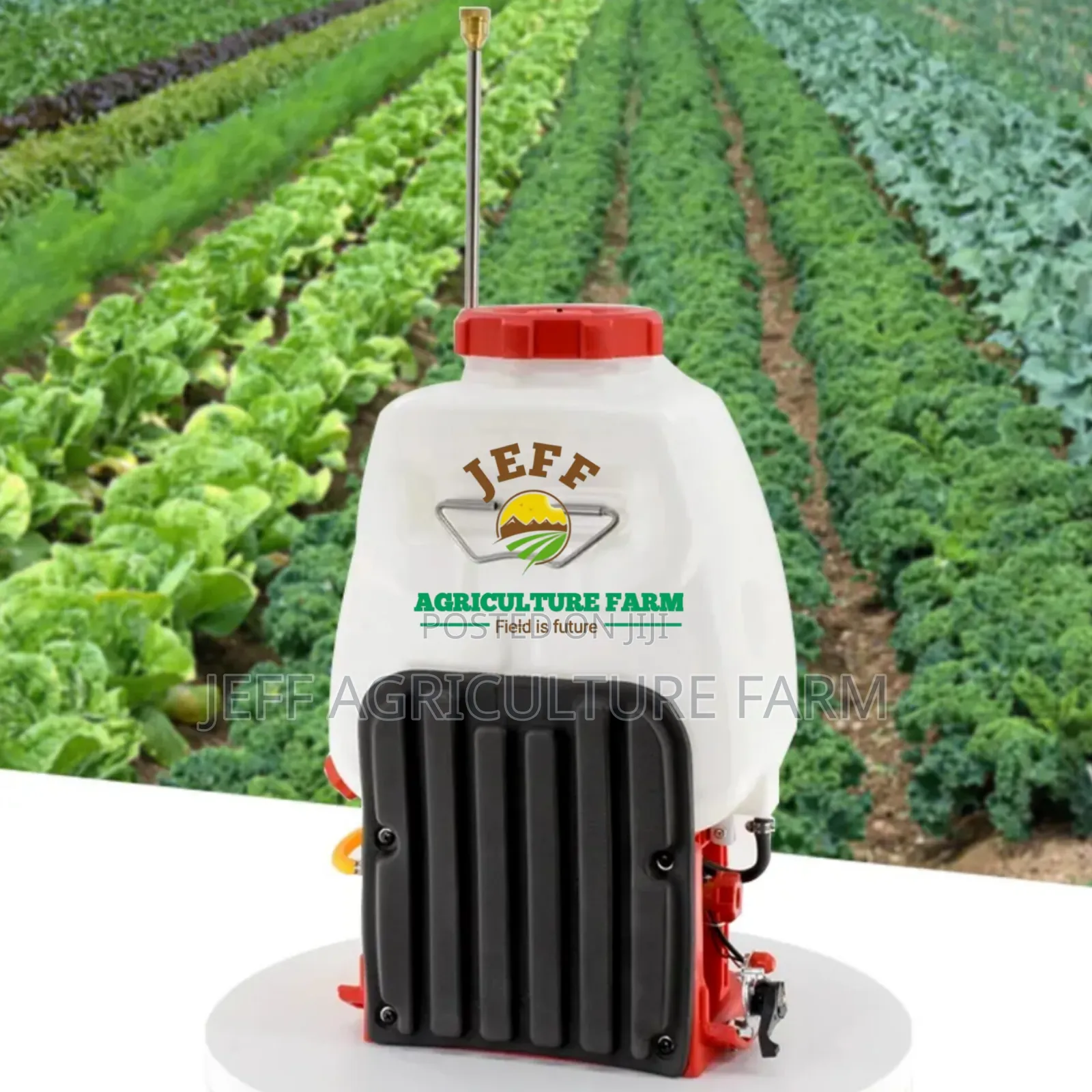 Dust Sprayer 4strock Engine