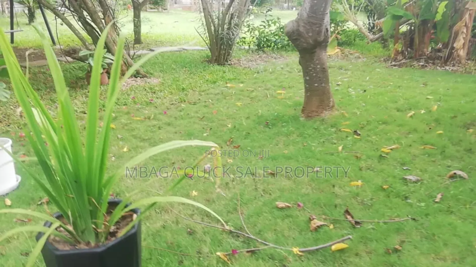 4bdrm House in Masaki for sale