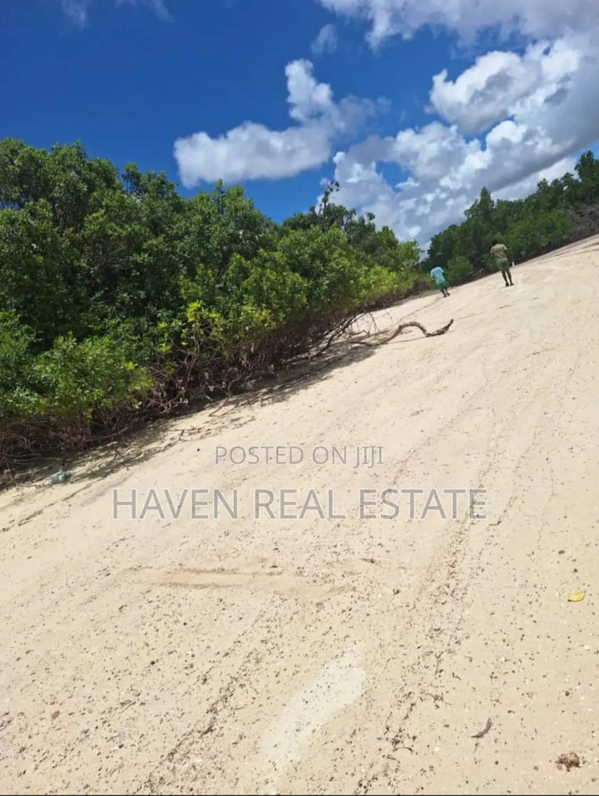 Beach Plot for Sale at Mafia