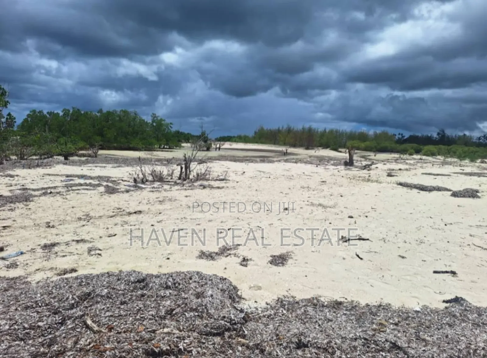 Beach Plot for Sale at Mafia