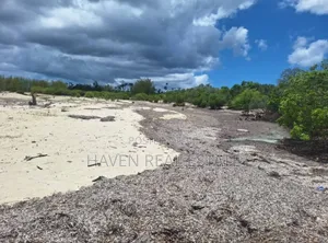 Beach Plot for Sale at Mafia
