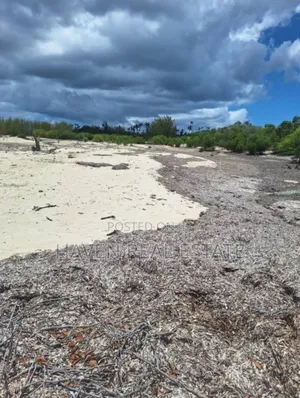 Beach Plot for Sale at Mafia