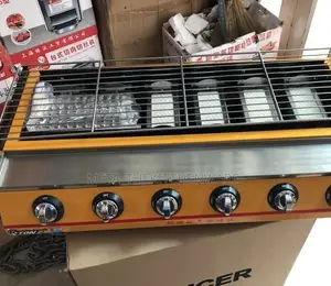 Commercial Barbecue Gas Grill 10 Burner