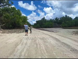 Beach for Sale Mafia