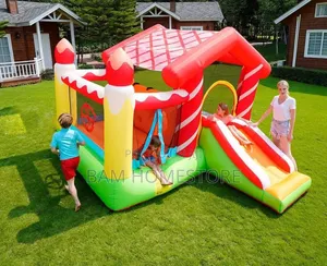 Jumping Castle With Slides and Jumping Era