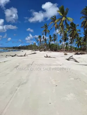 Beach Plot for Sale at Mafia Banja
