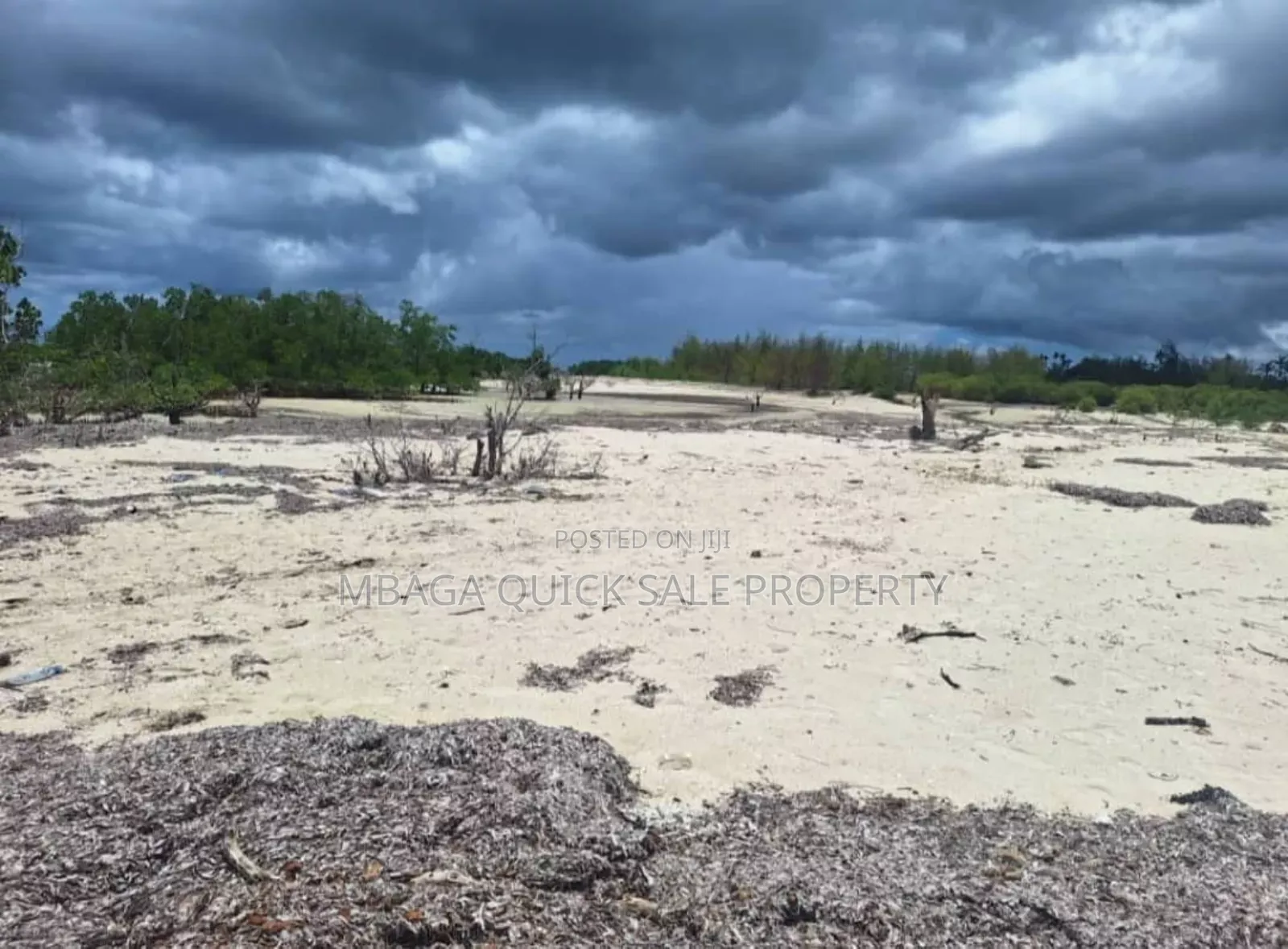 Beach Plot for Sale at Mafia Banja