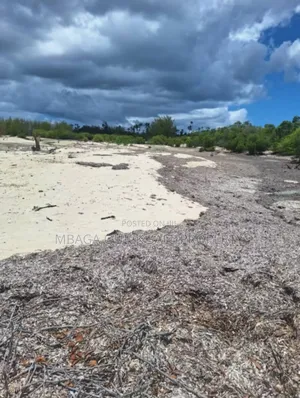 Beach Plot for Sale at Mafia Banja