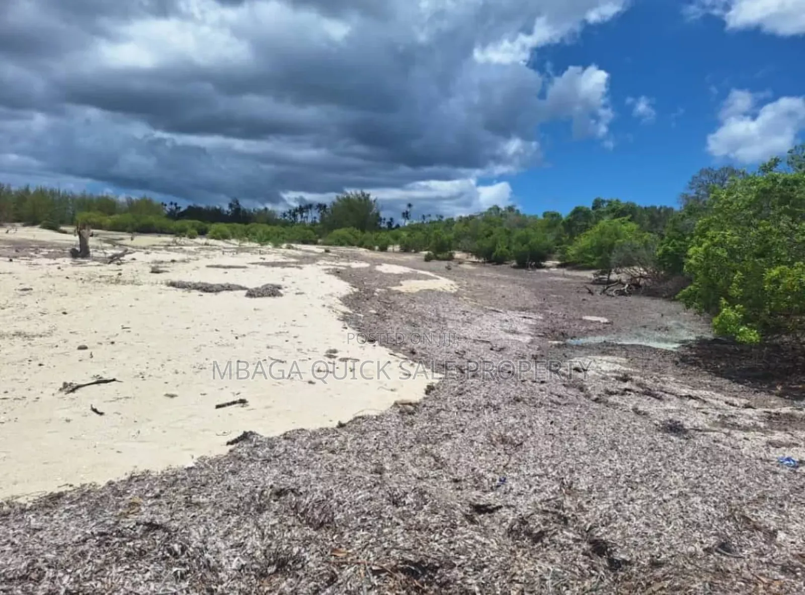 Beach Plot for Sale at Mafia Banja