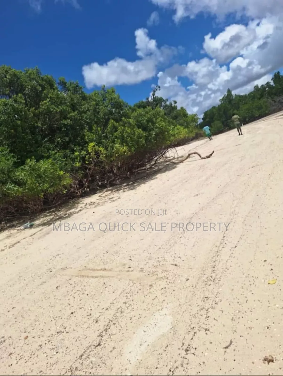 Plot for Sale at Mafia Bweni