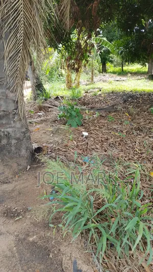 Plot for Sale at Kibaha Visiga