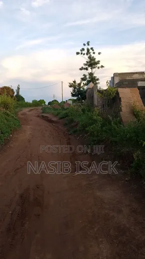 Plot for Sale