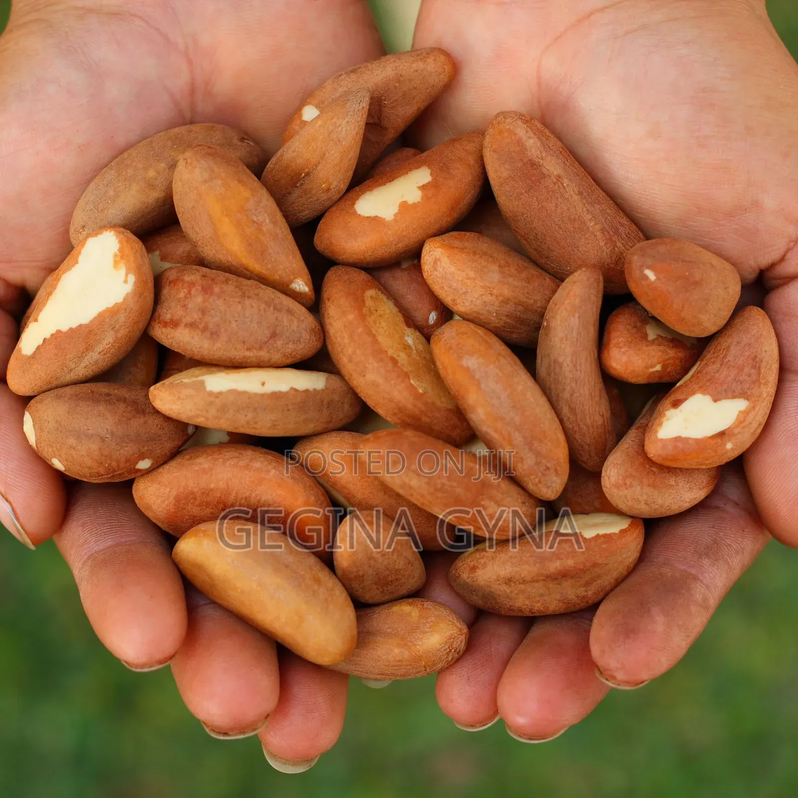 Brazil Nuts Available Very Healthy