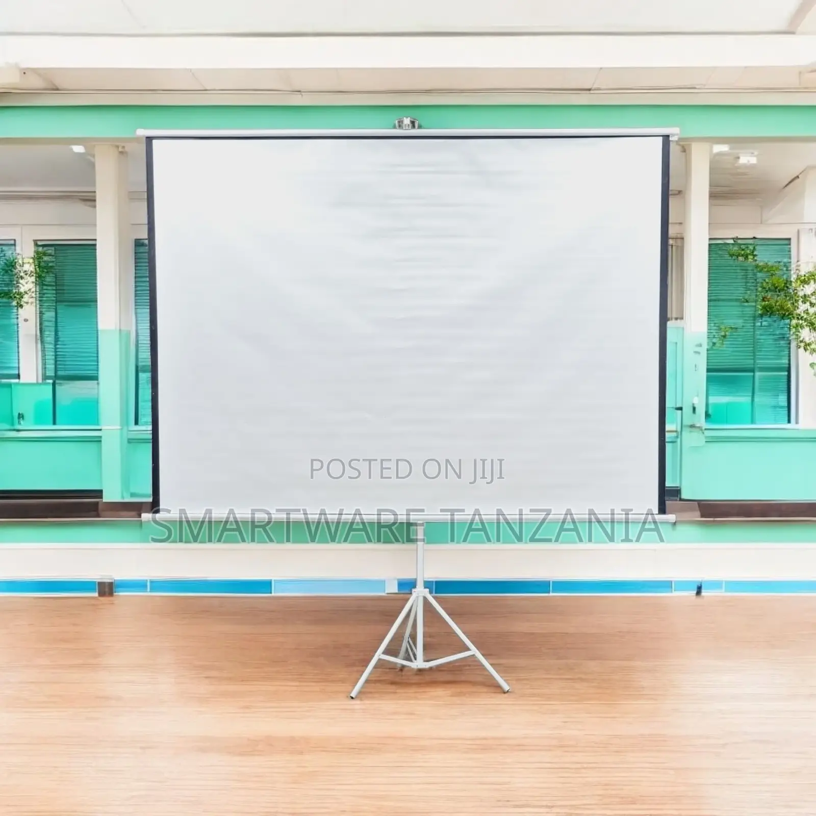 Portable Projector Screen With Stand, Outdoor Movie Screen