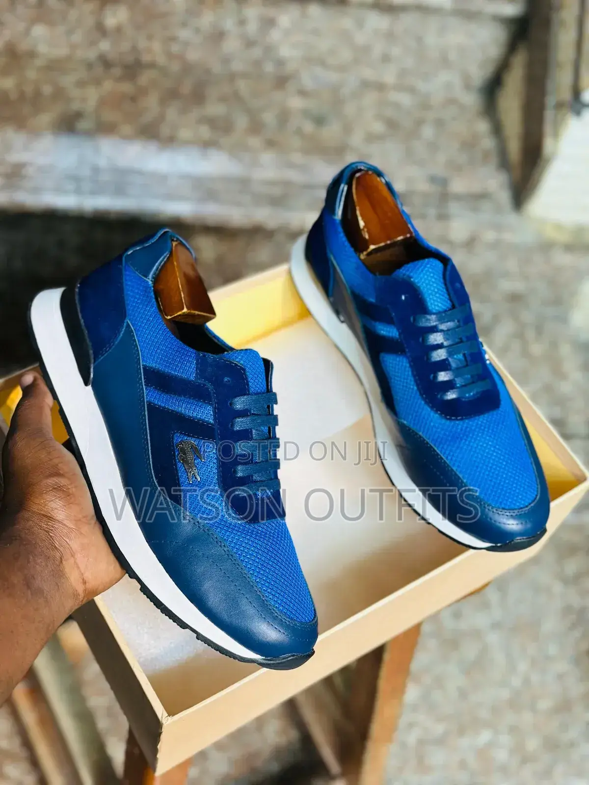 Top Standard Lacoste Shoes