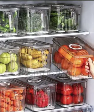 Big Container for Fridge