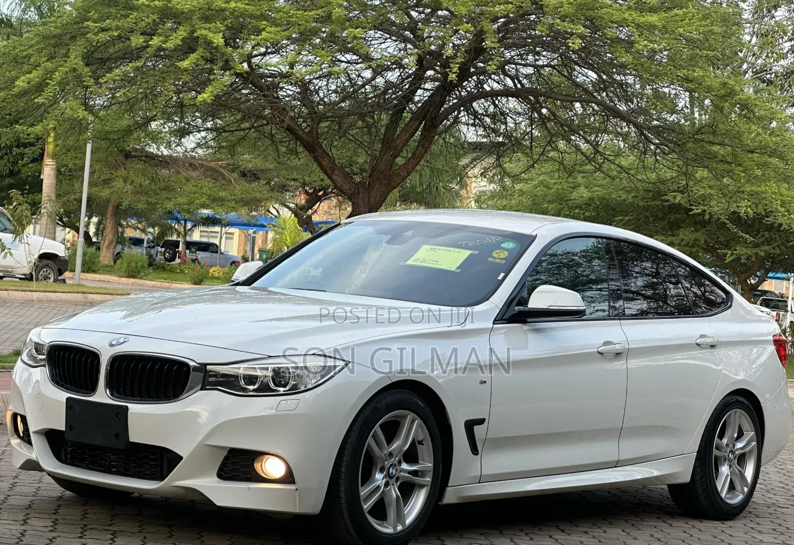 BMW 3 Series 2014 Pearl
