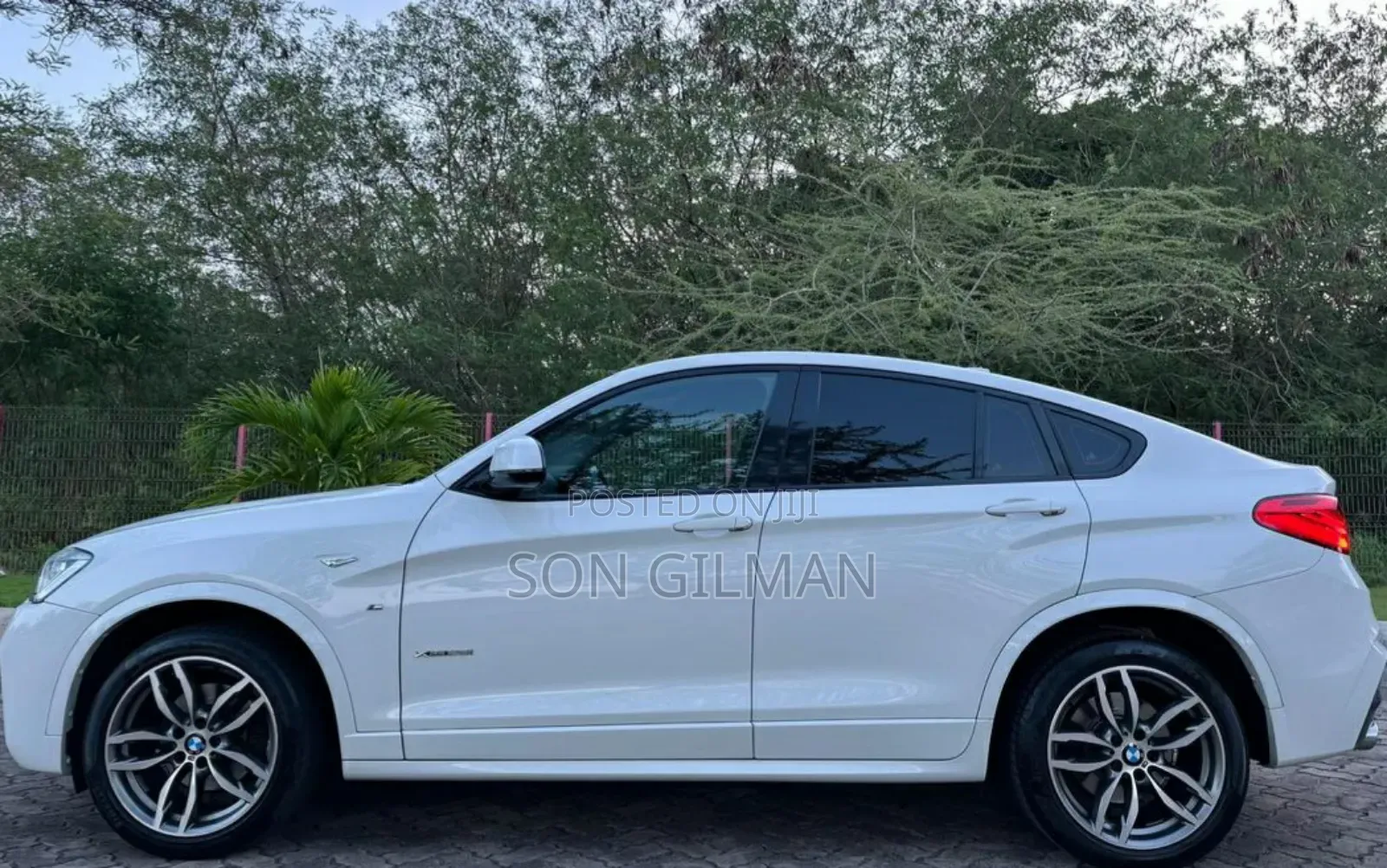 BMW X4 2015 Pearl