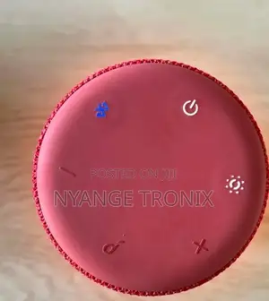 • Soundcore Flare Mini