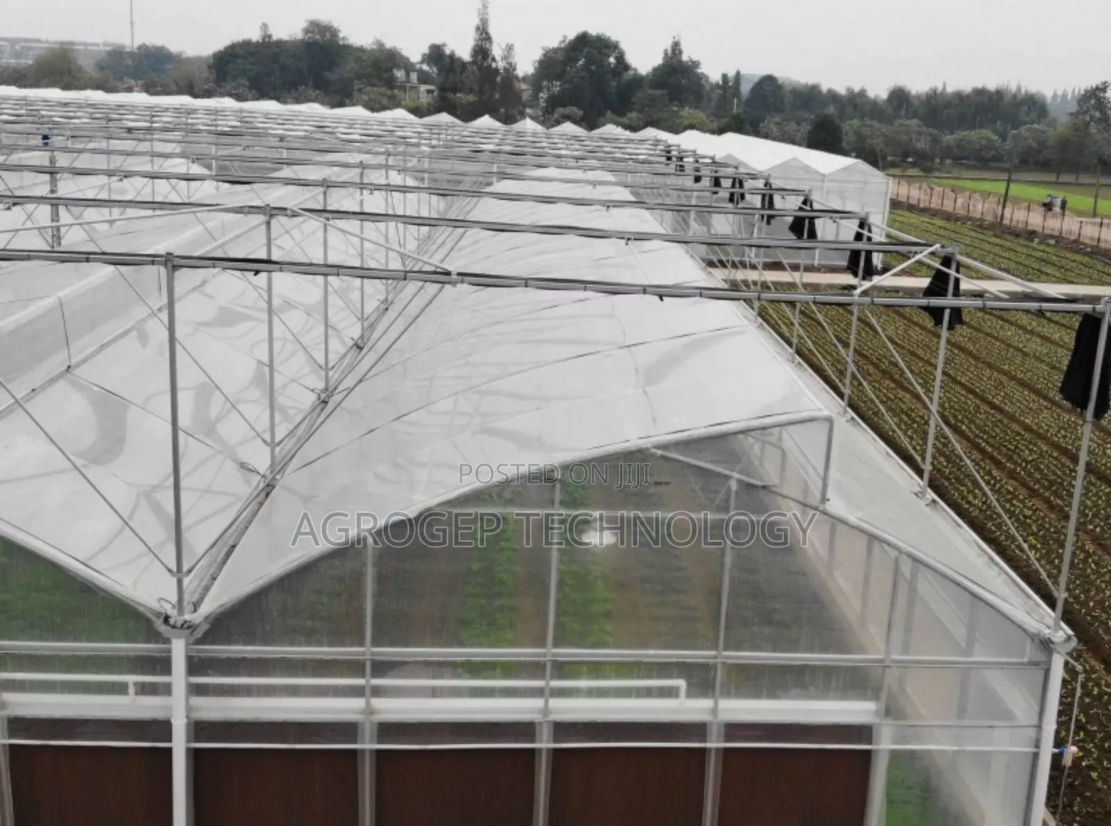 Greenhouse Film (Poly Cover)