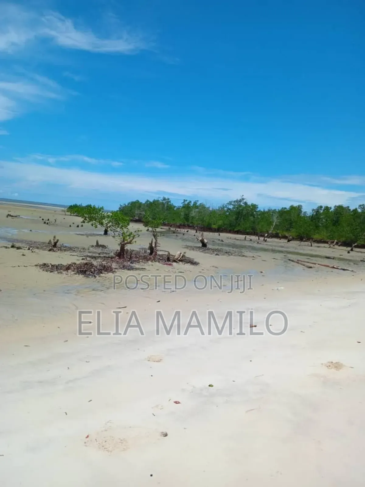 Beach Plot for Sale in Tanga, Pangani.