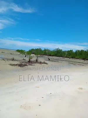 Beach Plot for Sale in Tanga, Pangani.