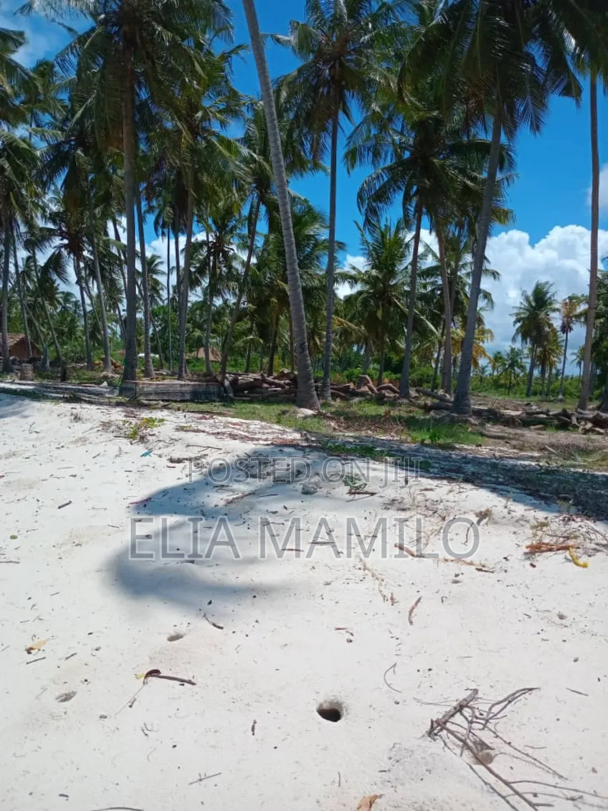 Beach Plot for Sale in Tanga, Pangani.
