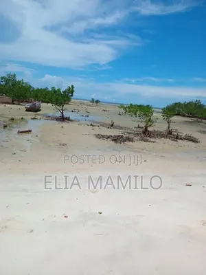 Beach Plot for Sale in Tanga, Pangani.