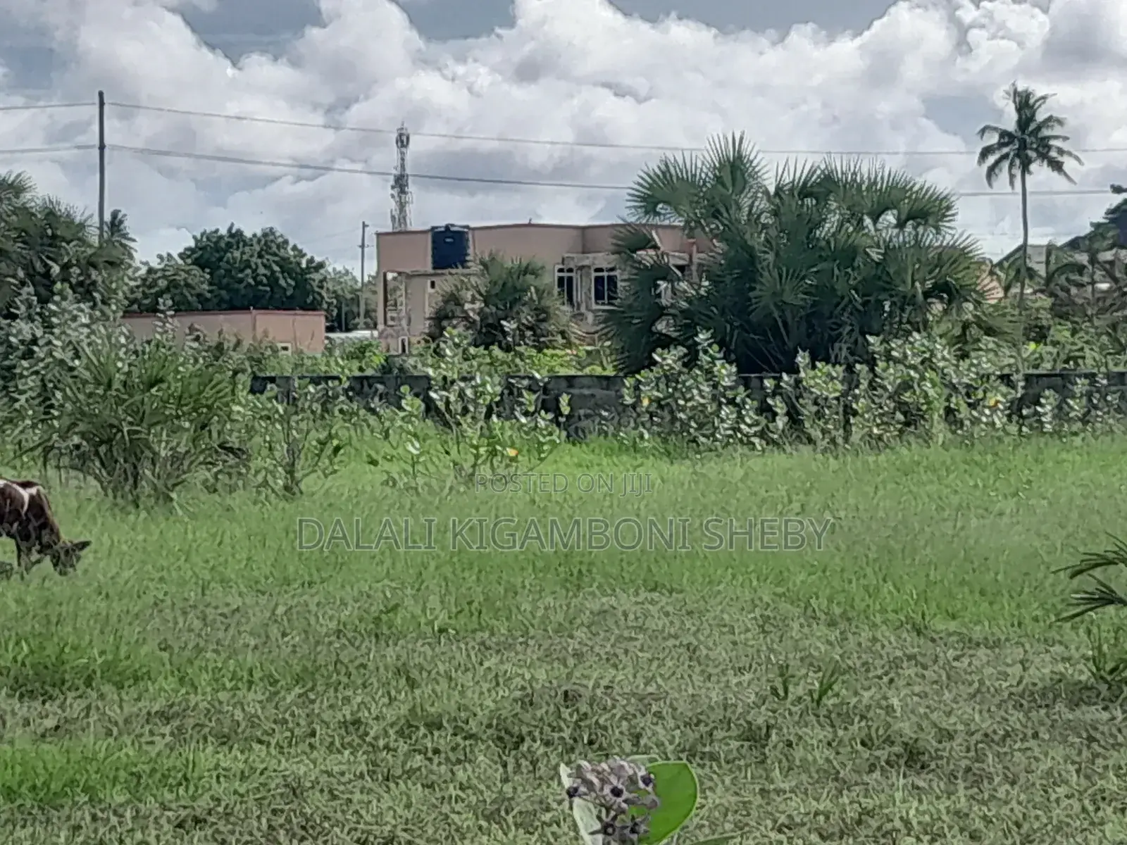 Plot for Sale Kigamboni Kibada
