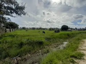 Plot for Sale Kigamboni Kibada