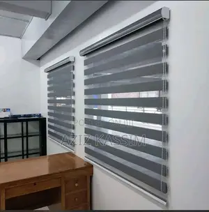 Zebra Blind Curtain