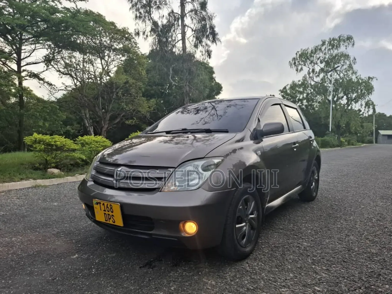 Toyota IST 2006 Gray