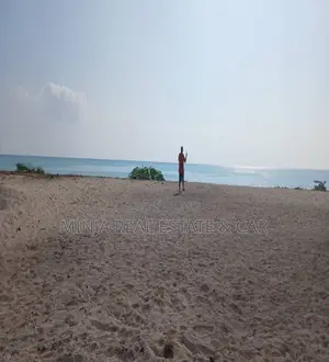 Beach Plot for Sale Jambiani Zanzibar