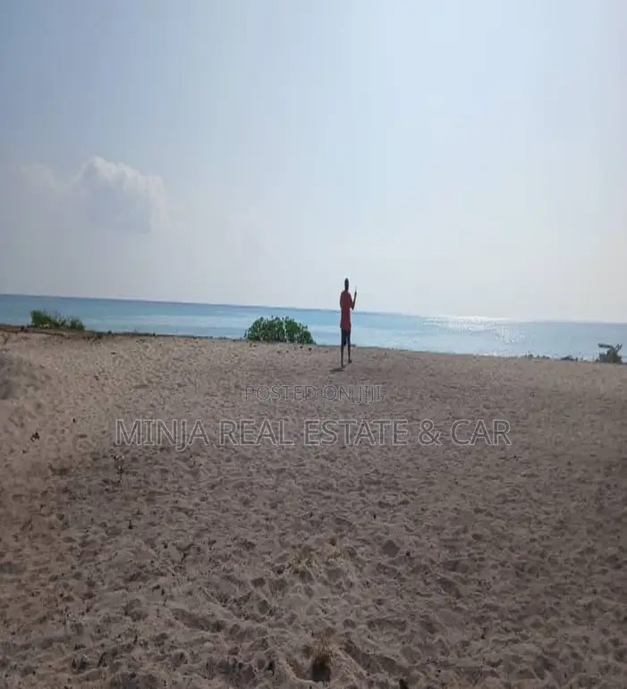 Beach Plot for Sale Jambiani Zanzibar